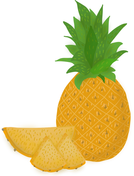 Slice Pineapple Illustration